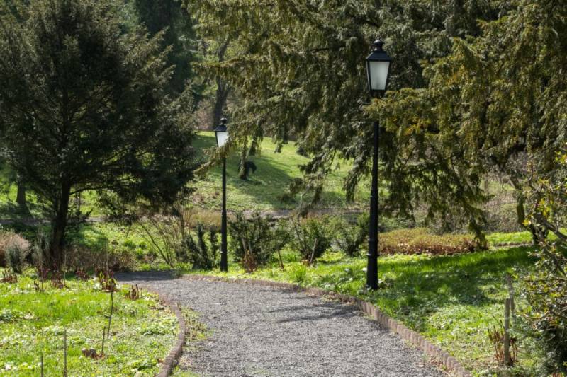 pszentlaszlo_arboretum-20180412-30 (Egyedi).jpg